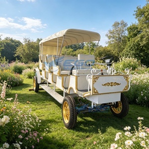 New European Style Electric Sightseeing Vehicle Perfect for Amusement ParkS 3 Row Horse Carriage Horse Drawn Carriage - Product Image 5