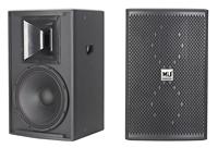 Système audio professionnel TR10 unique 10 "Haut-parleur de karaoké intérieur Haut-parleur de divertissement Haut-parleur de scène passif