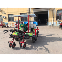 Machine automatique de transplantation de plants de tomates pour assistant agricole, semoirs et transplanteurs de poivrons, machine à planter les graines