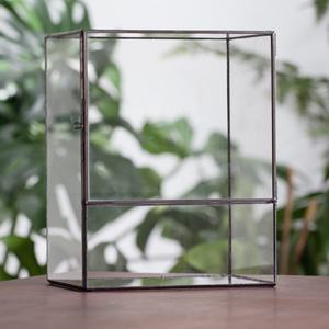 Terrariums en verre rectangulaires Offre Spéciale personnalisés avec portes Conteneurs géométriques Terrariums pour plantes pour mousse murale - Product Image 2