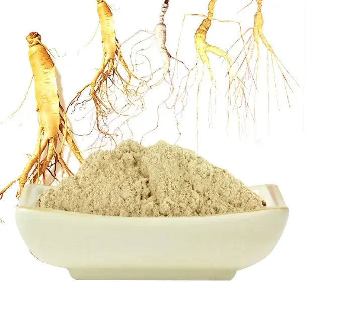 Private Label Natural Ginsenosides 5%-80% Ginseng Root Extract