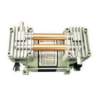 Pompe à piston sans huile silencieuse 1.3 m/h pour District Energy Pronotek PNK PP 200C 120W 220V basse pression