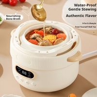Mini-cuiseur électrique à mijoter 1000 ml avec pot en céramique, 6 fonctions, réservation 24h, écran LED, compact pour la maison et l'hôtellerie