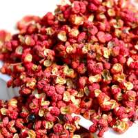 Prix de gros Fournisseur d'usine Épices Poivre Sichuan Poivre Rouge