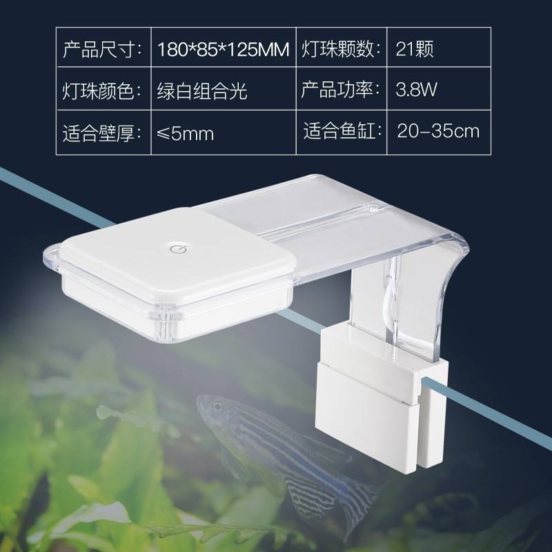 D-3 lumière verte et blanche-40 unités par boîte