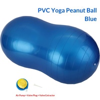 Ballon de yoga en PVC anti-éclatement pour Pilates, gym, fitness, massage et entraînement d'équilibre, avec pompe et outil de démontage