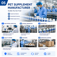 Gel de Apoyo Cognitivo para Mascotas OEM ODM, para Perros y Gatos, Salud Cerebral, Apoyo a la Memoria, Multivitamínico, Suplemento Nutricional con L-Tirosina