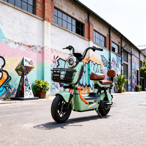 Vélo Électrique Urbain Rétro en Gros <span class=keywords><strong>d</strong></span>'Usine 48V 60V 72V 20Ah 14 Pouces Frein à Disque Avant Deux Places avec Grand Panier pour Adultes - Product Image 6