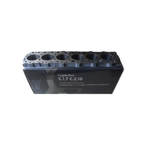 Bloque de Cilindros C1.7 C2.2 C2.4 C2.10, Componente de Motor Diésel de Uso Pesado para Equipos de Construcción - Product Image 1