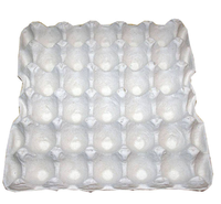 Boîte d'emballage en papier biodégradable avec insert moulé en pâte et boîte à chaussures à manchon extérieur en carton