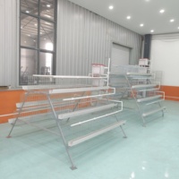 Prix de gros d'usine 3/4 niveaux 4 portes cage à poulet un type poules pondeuses batterie cages pour volaille poulet pondeuse