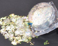 SHYZ qualité cosmétique caméléon poudre ongles paillettes paillettes flocons Mica Pigment pour revêtement
