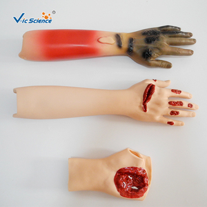<span class=keywords><strong>Kit</strong></span> de simulation de plaies traumatiques portable 16 pièces pour amputation ou fracture ouverte, pour laboratoire de compétences infirmières CE ISO ROHS CNAS - Product Image 2