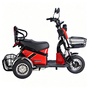 Tricycle électrique personnalisable 2000W haute puissance pour le transport de marchandises volumineuses - Product Image 3