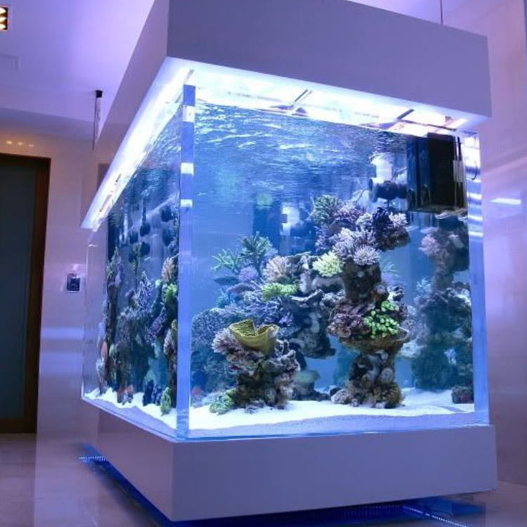 Acrylic Large Aquarium Fish Tank Big Various Thickness Custom Lobster Aquariums Fish Tank