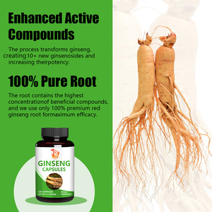 Suplementos Herbales Naturales al por Mayor de Fábrica: Cápsulas de Ginseng con Fibra Dietética, Polvo de Raíz de Ginseng, Apoyo Antioxidante Dietético - Product Image 3