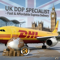 Dropshipping-Agenten Tür-zu-Tür DHL Versandagent China nach Irak Kanada Türkei USA Südafrika Vereinigte Staaten Fracht