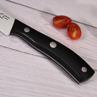 Couteau de cuisine professionnel en acier inoxydable de 4 pouces avec manche en ABS