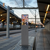 Public 20 emplacements partageant le chargeur de location de batterie externe Solution d'accueil de charge commerciale Station de batterie externe de location