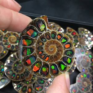 Vendita calda arcobaleno di Ammonite fossili di cristallo pietre curative <span class=keywords><strong>gioielli</strong></span> che fanno ciondoli fossili per la meditazione - Product Image 3