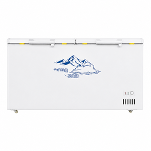 Congelador Horizontal Grande de 600L, Gran Capacidad, Dos Puertas, Refrigeración Profunda, para Uso Comercial en Restaurantes - Product Image 1