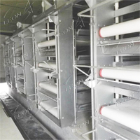 Système de cages à poules automatiques de type H, équipement avicole galvanisé à chaud pour les élevages commerciaux de poules pondeuses