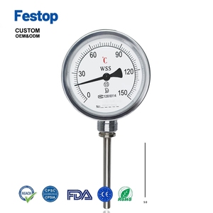 Termómetro Digital Sumergible de Acero Inoxidable Fesop con Sonda de Agua, Personalización OEM/ODM/OBM, Garantía de 18 Meses - Product Image 1