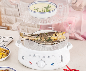 <span class=keywords><strong>Caldaia</strong></span> elettrica dell'uovo di pesce del vapore dell'alimento di plastica di grande spazio di vendita calda - Product Image 2