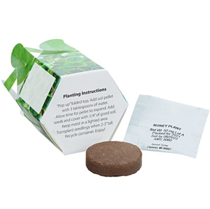 Kit <span class=keywords><strong>de</strong></span> Jardinière Pop-up Personnalisable avec Logo, pour Plante <span class=keywords><strong>de</strong></span> la Fortune, Pliable, Portable, Cadeau Unique Porte-Bonheur et <span class=keywords><strong>de</strong></span> Prospérité, Promotionnel, Vente en Gros - Product Image 4