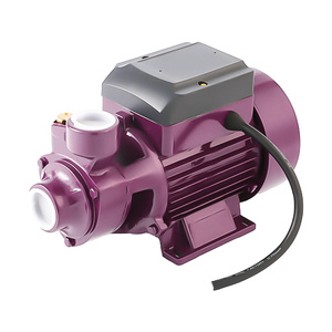 Bomba de <span class=keywords><strong>Agua</strong></span> Doméstica de Una Etapa para Hogares, Bomba de Refuerzo de <span class=keywords><strong>Agua</strong></span> con Impulsor de Hierro Fundido y Latón, OEM Personalizable para <span class=keywords><strong>Agua</strong></span> Limpia - Product Image 1