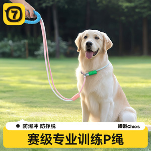 Dog Leash Nylon <b>Padded</b> Rope For Small Medium Large Dogs <b>Walking</b> Supplies Solid Color QW1999 - Product Image 5