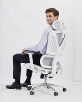 Chaise de bureau ergonomique en maille, dossier haut, pivotante, appui-tête réglable 3D, accoudoirs réglables 3D, support lombaire, base chromée