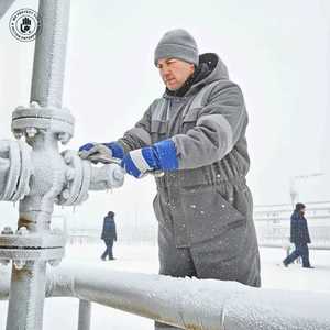 Gants de travail d'hiver en cuir de vachette isolés, gants thermiques résistants au froid avec doublure bio - Product Image 2