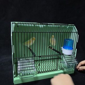 Cage d'exposition pour oiseaux avec cadre métallique sans fermeture pour canaris et perroquets - Product Image 2