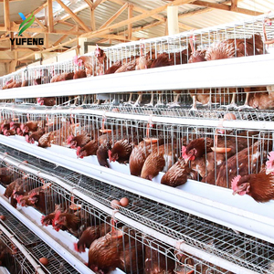 Yumurtacı Tavuklar İçin A Tipi Katmanlı Tavuk Kafesleri, Yumurta Üretimi İçin Yüksek Kapasiteli Dayanıklı Tavuk Kafesi, Katmanlı Tavukçuluk Ekipmanları - Product Image 4
