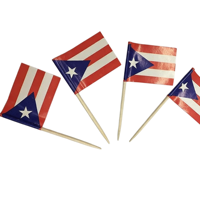 Mini-drapeaux pour cure-dents, étiquettes alimentaires pour buffet de fête, mini-drapeaux pour cocktail, marqueurs alimentaires