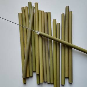 Set Ecologico di Cannucce in Bambù Verde con Spazzolino per la Pulizia, Confezione Regalo, Spedizione Rapida Globale - Product Image 1