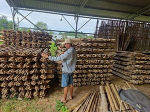 Palos de soporte para Plantas | Bambú tratado a medida 100% | Fabricante - Product Image 3