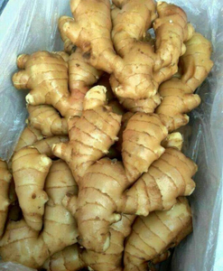 ג'ינג'ר סיני טרי צעיר 10 ק\\\"ג מותג הלִי משאנדונג לבישול ג'ינג'ר גידול נפוץ - Product Image 1