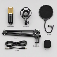Kit de microphone à condensateur professionnel BM800 avec bras articulé et filtre anti-pop pour enregistrement en studio, podcast, diffusion en direct, karaoké