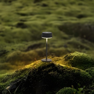 Tavolo da Ristorante Innovativo 2026 con Design Moderno Flessibile, Funzionamento a Batteria DC, Senza Fili, in Alluminio, Ecologico, con Controllo Touch da <span class=keywords><strong>Comodino</strong></span> - Product Image 1