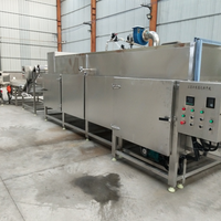 Doorlopende Industriële Elektrische Automatische Tunnel Transportband Droger Schone Droge Machine Voor Knoflook Bosbessen Elektrische Verwarming Gaasband