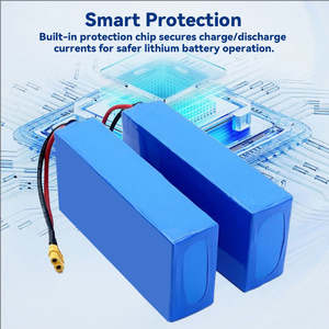 E-Bike E-Scooter Lithium LiFePO4 Akku 12V/24V/36V/48V/60V 20AH/30AH/50AH/60AH 5000 Zyklen für Direktvertrieb ab Werk - Product Image 4