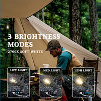 Le camping rechargeable de type C LED allume les lumières de tente IP65 imperméables pour des nuits extérieures