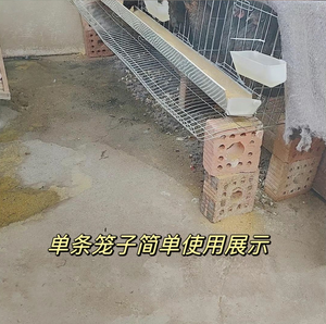 نظام تصميم الأكثر مبيعاً لبيت دواجن وحيوانات مزرعة طبقة بيض للفراريج - Product Image 5