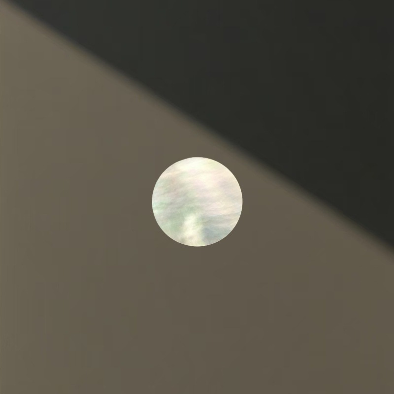 The diameter of the white butterfly shell disc is