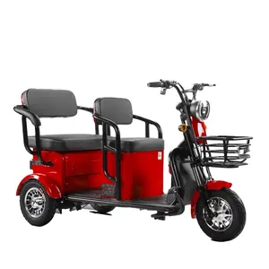 Triciclo para adulto, triciclo de carga, Rickshaw, cuerpo blanco, luces OEM, Motor de potencia, freno hidráulico, tipo eléctrico