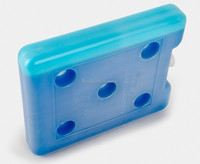 CSI Glacière en HDPE de haute qualité pour la livraison ou le stockage d'aliments frais, bloc de glace, brique réfrigérante