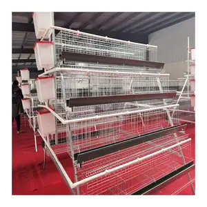 Poultry Farm A Type Layer Galvanized Egg Chicken Cage In Kenya