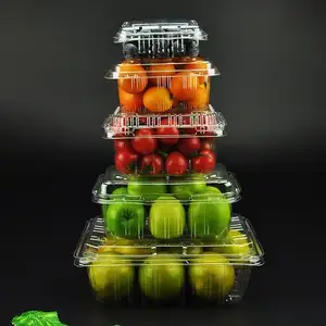 Atacado ODM Transparente Clamshell Fruta Vegetal Caixa Fresca Food Grade PET Caixa De Frutas Descartáveis De Plástico